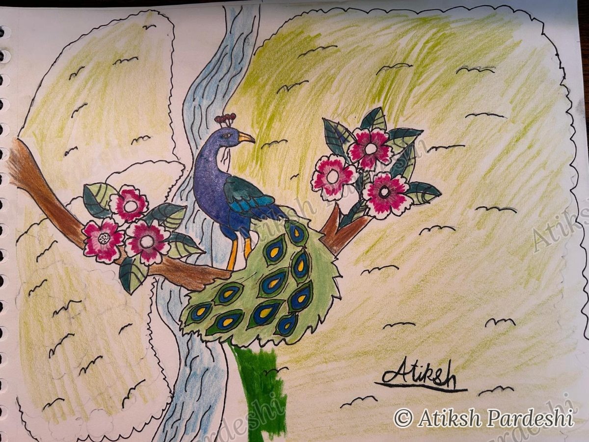 Colored pencil peacock on a branch